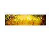 Pure-Incense Vintage Oud Cambodian